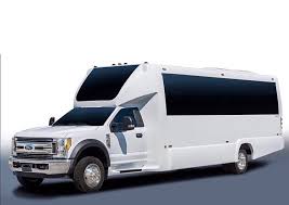 Ford 550 Bus